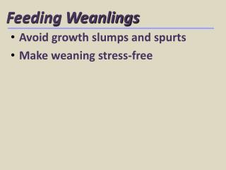 Feeding Weanlings