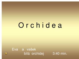Eva a vašek bílá orchidej 3:40 min.