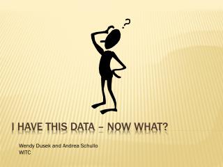I Have This Data – Now what?