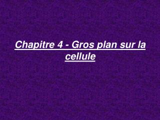 Chapitre 4 - Gros plan sur la cellule