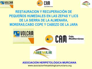 ASOCIACIÓN HERPETOLÓGICA MURCIANA asociacionherpetologicamurciana