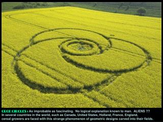 CROP CIRCLES : As improbable as fascinating. No logical explanation known to man. ALIENS ??