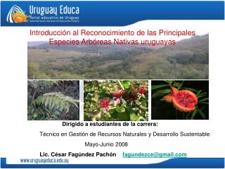 Introducción al Reconocimiento de las Principales Especies Arbóreas Nativas uruguayas