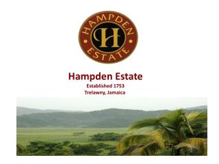 Hampden Estate Established 1753 Trelawny, Jamaica