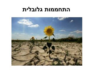 התחממות גלובלית