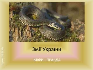 Змії України