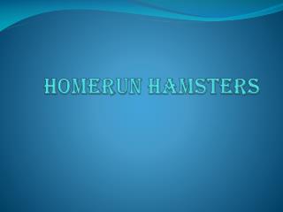 Homerun Hamsters