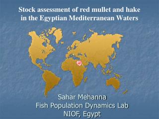 Stock assessment of red mullet and hake in the Egyptian Mediterranean Waters