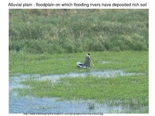 Alluvial plain - floodplain on which flooding rivers have deposited rich soil