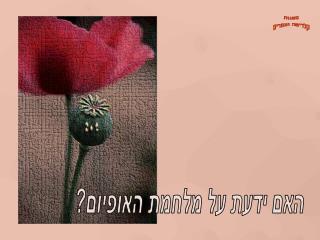 האם ידעת על מלחמת האופיום?