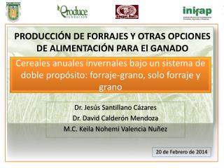 Dr. Jesús Santillano Cázares Dr. David Calderón Mendoza M.C. Keila Nohemi Valencia Nuñez