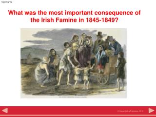 What was the most important consequence of the Irish Famine in 1845-1849?