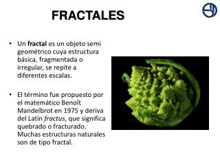 FRACTALES