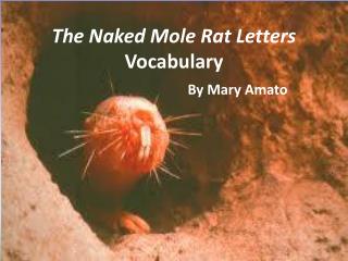 The Naked Mole Rat Letters Vocabulary