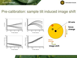 Pre-calibration: sample tilt induced image shift