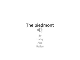 The piedmont