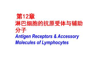 第 12 章 淋巴细胞的抗原受体与辅助分子 Antigen Receptors &amp; Accessory Molecules of Lymphocytes