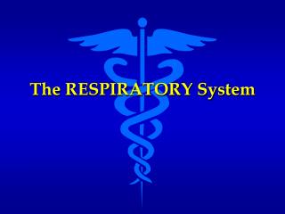 The RESPIRATORY System