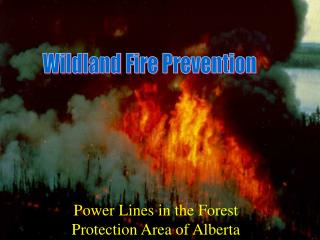 Wildland Fire Prevention