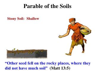 Parable of the Soils