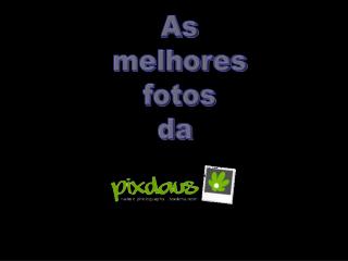 As melhores fotos da