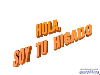 HOLA, SOY TU HIGADO