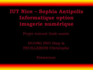 IUT Nice – Sophia Antipolis Informatique option imagerie numérique