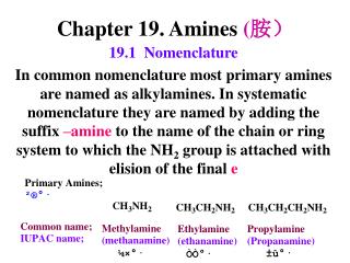Chapter 19. Amines ( 胺）