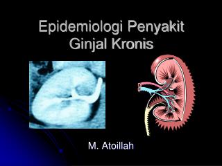 Epidemiologi Penyakit Ginjal Kronis