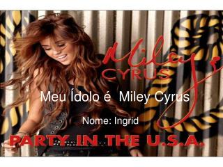Meu Ídolo é Miley Cyrus