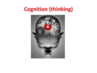 Cognition (thinking)