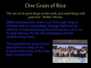 One Grain of Rice