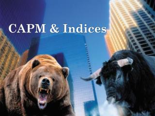 CAPM &amp; Indices