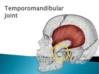 Temporomandibular joint