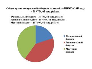 Общая сумма поступлений в бюджет платежей за НВОС в 2011 году - 393 774, 05 тыс. рублей.