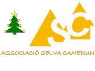 ASSOCIACIÓ SELVA CAMERUN