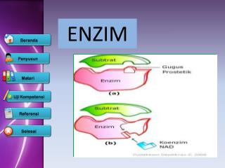 ENZIM