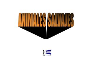 ANIMALES SALVAJES
