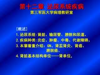 第十二章 泌尿系统疾病 第三军医大学病理教研室