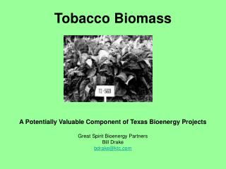 Tobacco Biomass