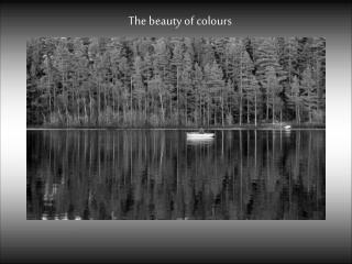 The beauty of colours
