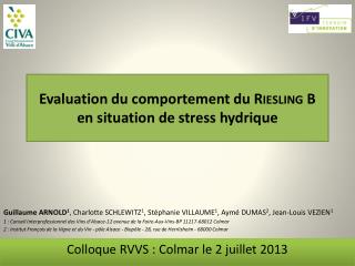 Evaluation du comportement du Riesling B en situation de stress hydrique