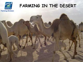 Farming in the desert-x 3006