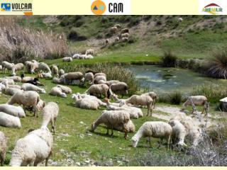 “CHARCAS GANADERAS, OASIS DE BIODIVERSIDAD”