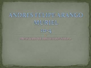 ANDRES FELIPE ARANGO MURIEL 10-4