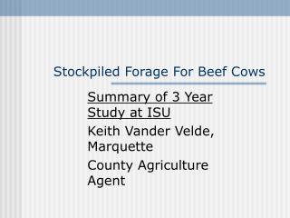 Stockpiled Forage For Beef Cows