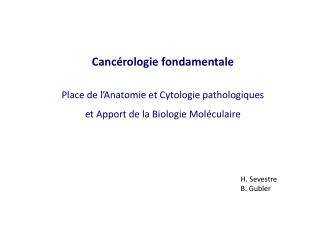 Cancérologie fondamentale