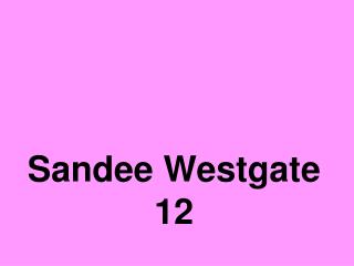 Sandee Westgate 12