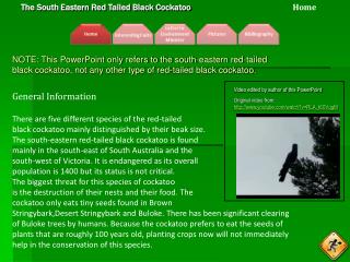 General Information There are five different species of the red-tailed