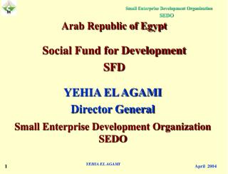 YEHIA EL AGAMI Director General Small Enterprise Development Organization SEDO